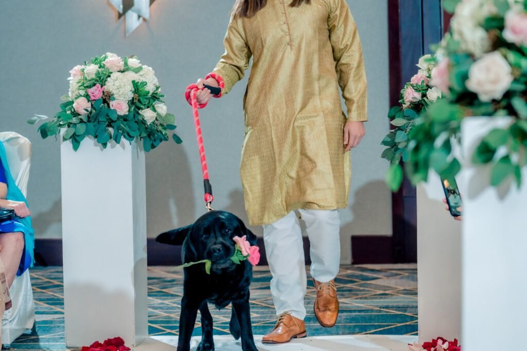 , fusion wedding