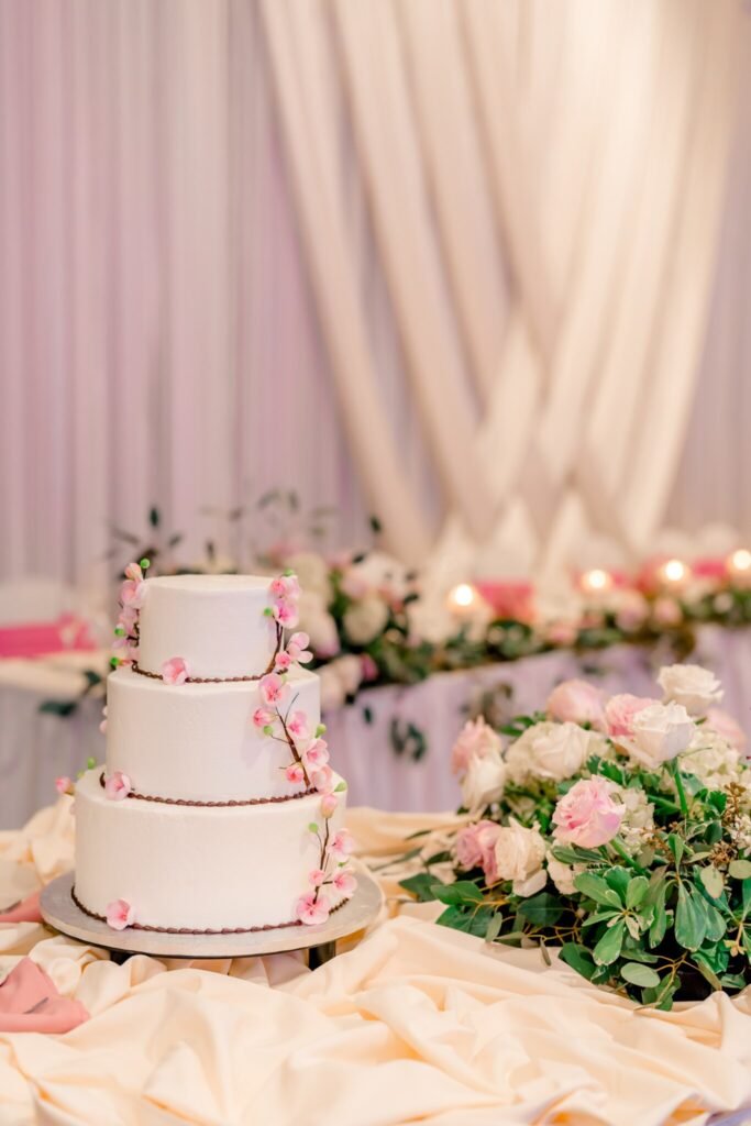 Indian wedding, raleigh wedding