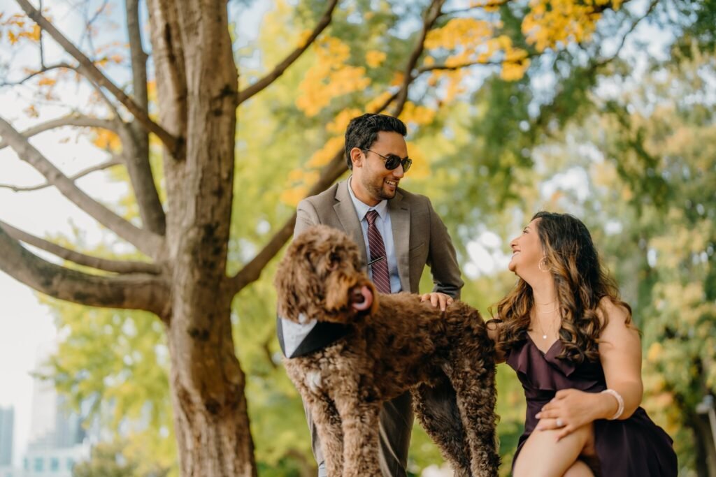 Indian wedding, cinematic