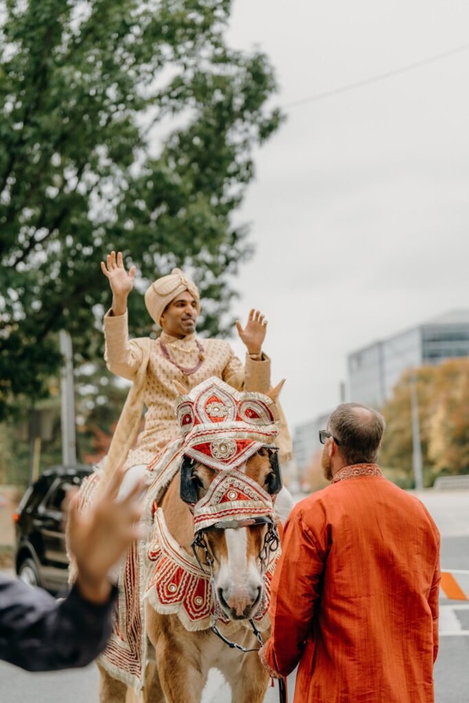 raleigh, videography