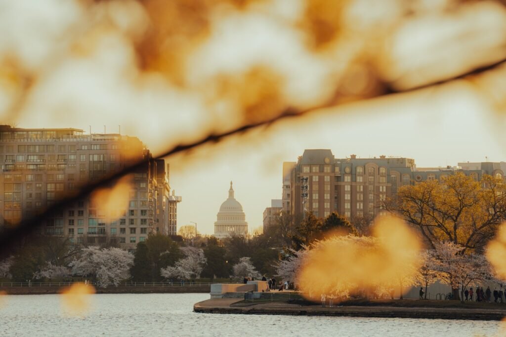 washingtondccouples, cherryblossomlove