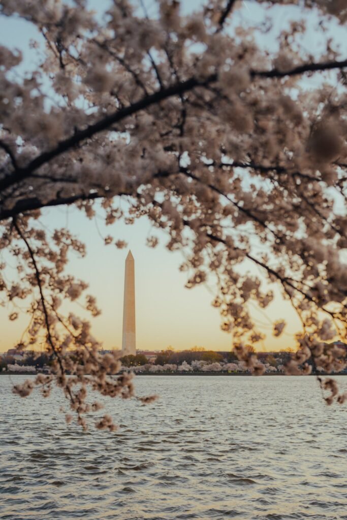 washingtondccouples, dcromance
