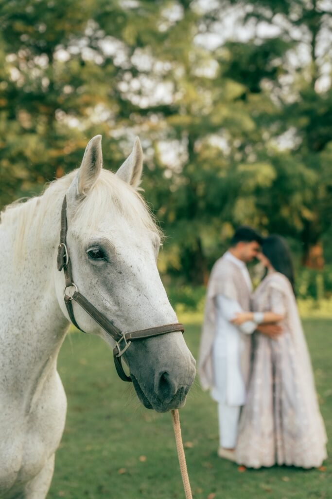 white horse couple photoshoot